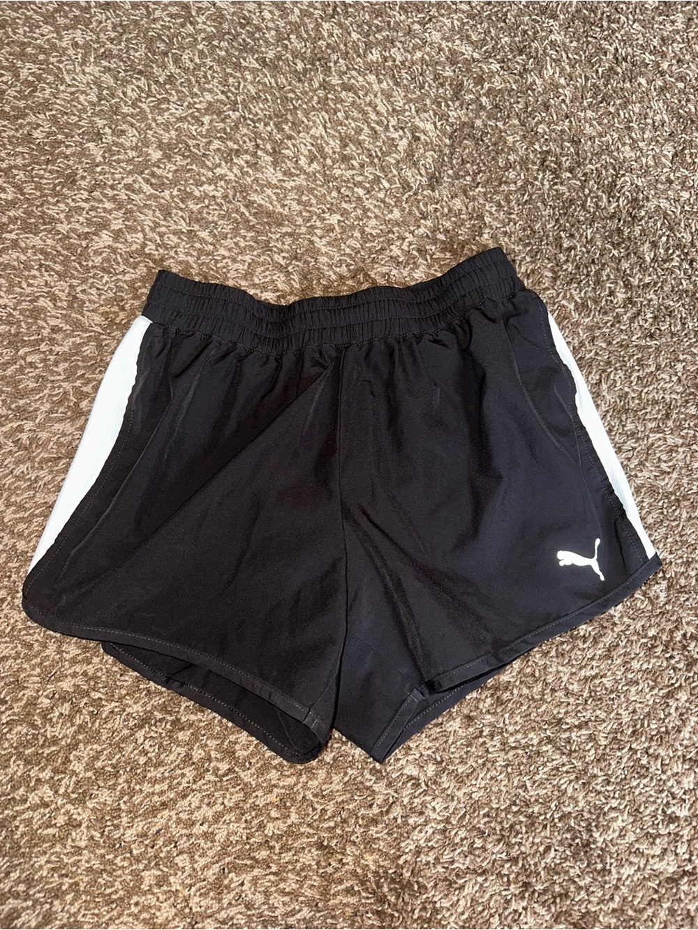 Puma ladies athletic shorts